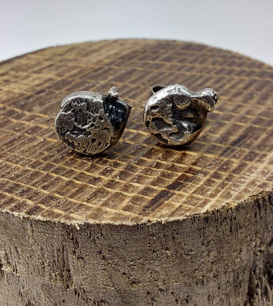 Sterling Silver Stud Earrings – Organic Texture Lunar Seeds